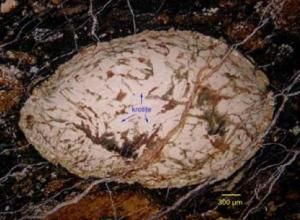 New Mineral Meteorite