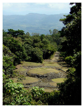 Guayabo