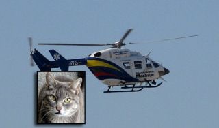 Catcopter