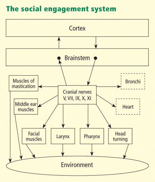 Click to enlarge Social engagement system
