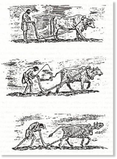 Click to enlarge Image