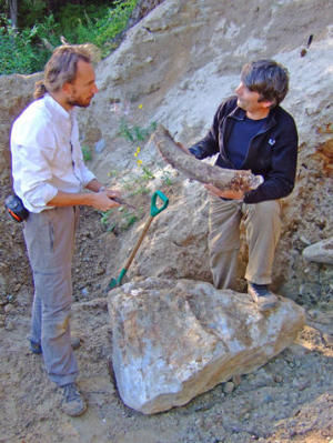 examining a mammoth tusk in Byzovaya