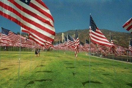 flags over dead