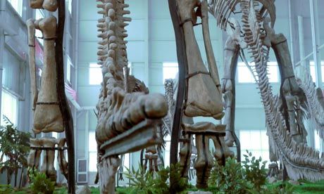 Click to enlarge Models of dinosaurs in Zhucheng