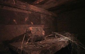 Click to enlarge Noah's Ark
