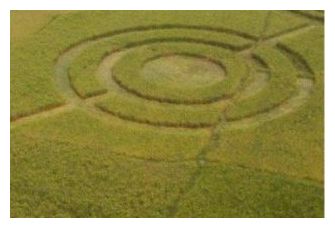 Indon Crop Circle