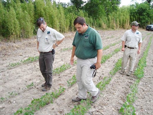 Louisiana wildlife officials