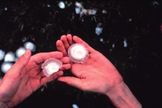 Click to enlarge Hail Bacteria