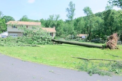 Click to enlarge cressona tornado1