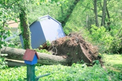 Click to enlarge cressona tornado2