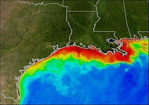 GoM dead zone
