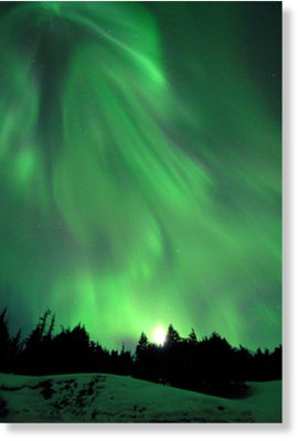 Northern Lights