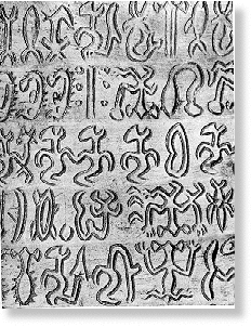 Click to enlarge Image
