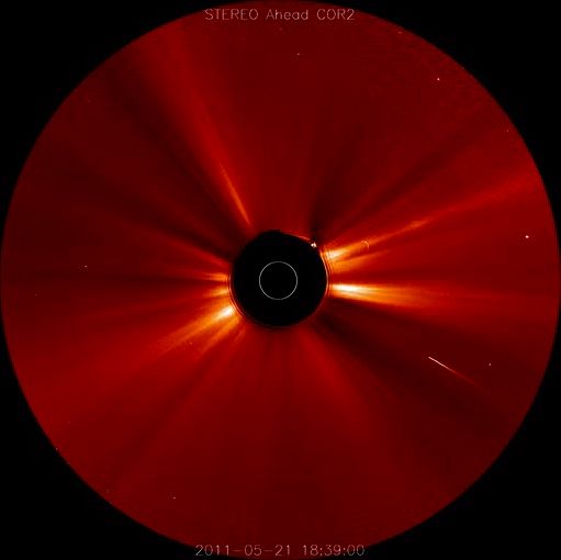 Comet Plunges into Sun