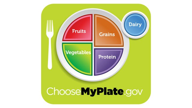 Food plate icon