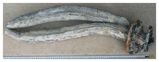 Click to enlarge leadpipe