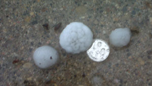 hail manitoba