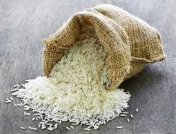 lecting rice