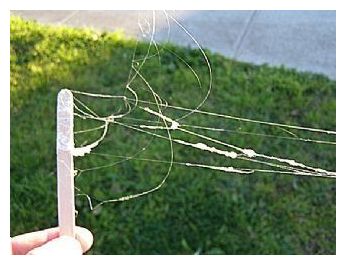 Click to enlarge Spider Webs_1