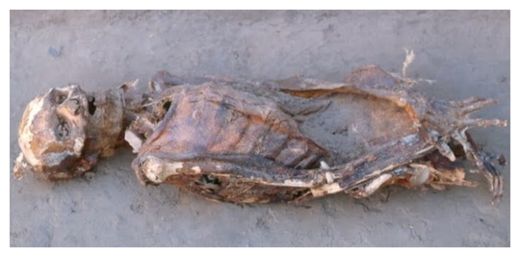 Click to enlarge Nubian Mummy