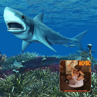 Sharks and ACDC