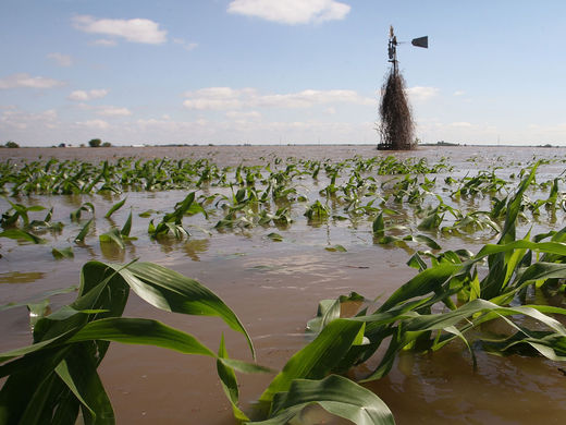 mississippi floods farmland