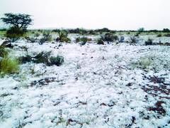 Click to enlarge Snow Fall