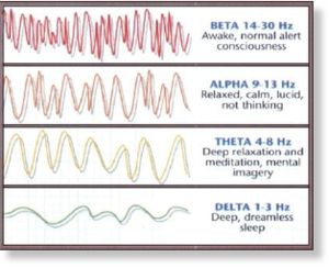 brain waves