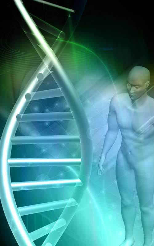 Human Genome