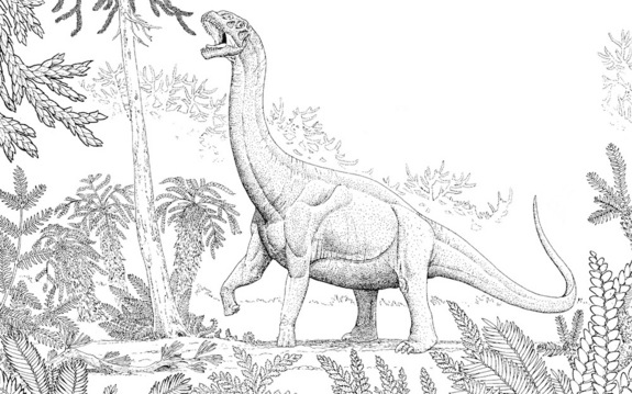 Click to enlarge Sauropod