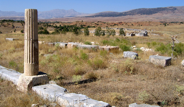 Click to enlarge Image