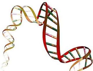 genes adn