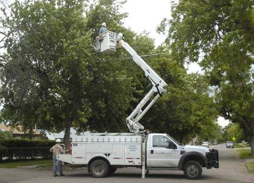 Click to enlarge downed powerline