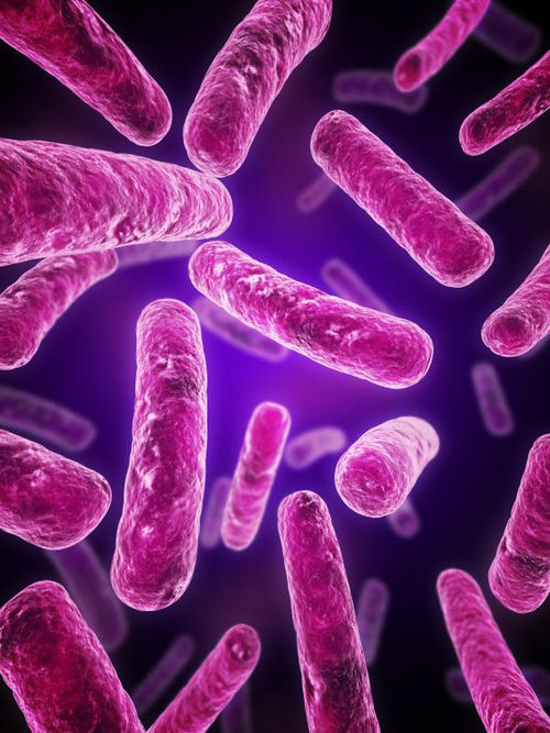 Artificial DNA
