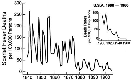 Click to enlarge Image