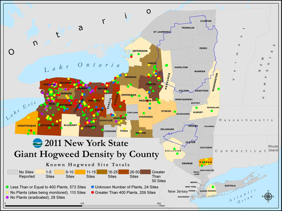 Click to enlarge plantmap
