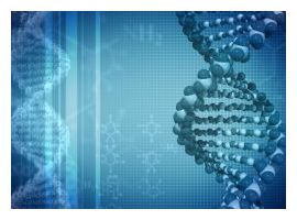 DNA