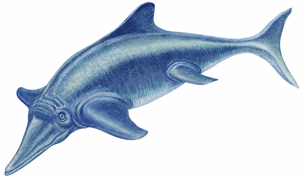 Ichthyosaur