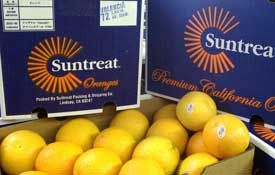 Click to enlarge sun treat