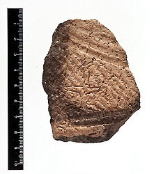 Click to enlarge Image