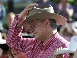 Click to enlarge Stephen Harper