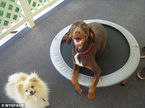 Click to enlarge Image