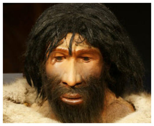 Neanderthal Reconstruction