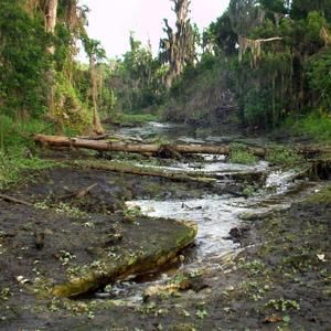 Guacalito River disappears