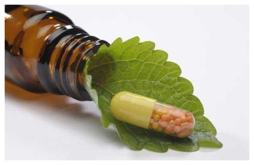 GMO Plant