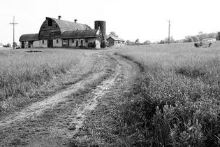 Farm