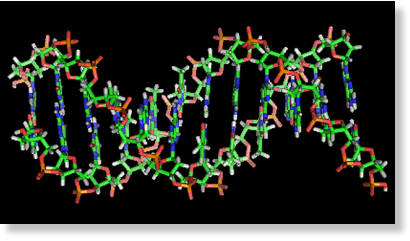 DNA