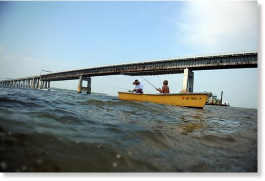 Click to enlarge Chesapeake bay