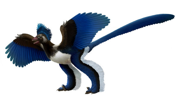 Click to enlarge Xiaotingia Zhengi