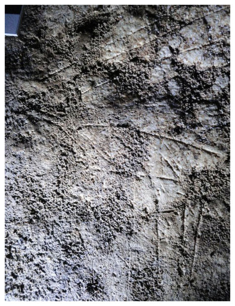 Click to enlarge Rock Art